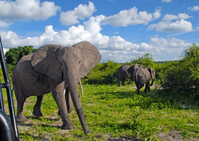 UN DISTRIBUTEUR D’ENGINS DE CHANTIER – LE M3 : COMBINE LA REUNION / TANZANIE